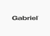 Gabriel Logo Download