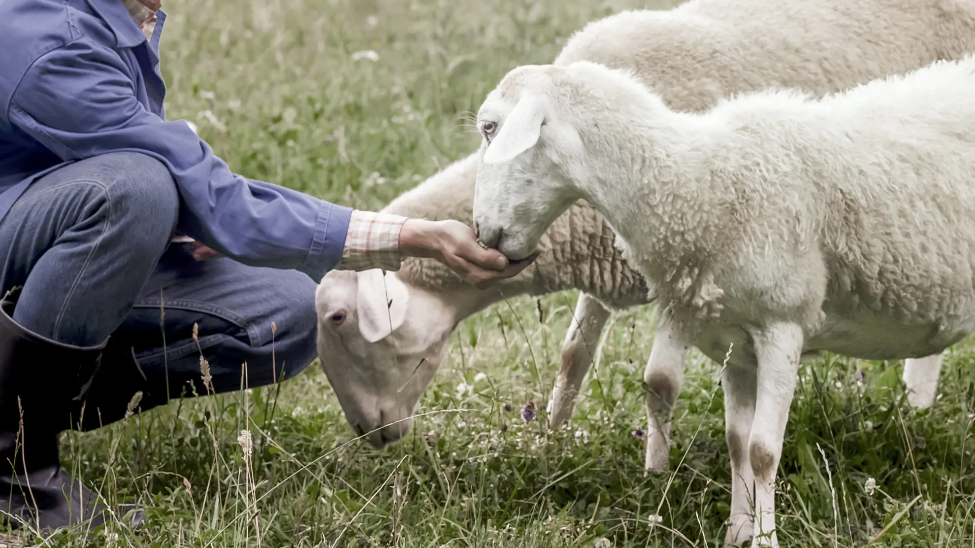 Furnmaster CO2e neutral - Gabriel